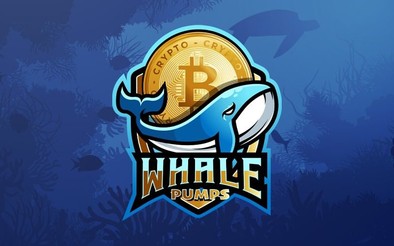 discover-crypto-trading-insights-&-daily-free-signals-with-crypto-whale-pump-community