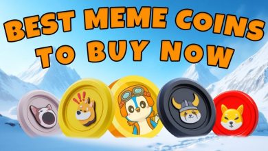 best-3-meme-coins-ready-to-skyrocket-with-massive-roi