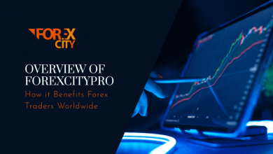 an-overview-of-the-forexcitypro-and-how-it-benefits-forex-traders-worldwide