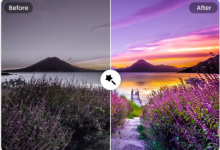 maximize-your-creative-output-with-vdraw-ai-tools