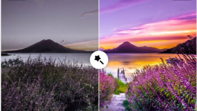 maximize-your-creative-output-with-vdraw-ai-tools